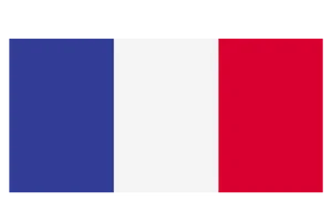 France Flag