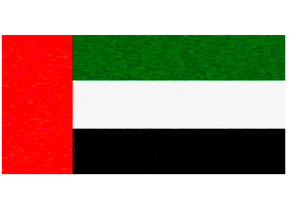 UAE Flag